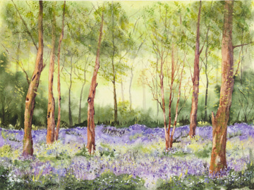 woodland
